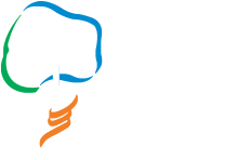 35. Ulusal Türk Ortopedi ve Travmatoloji Kongresi